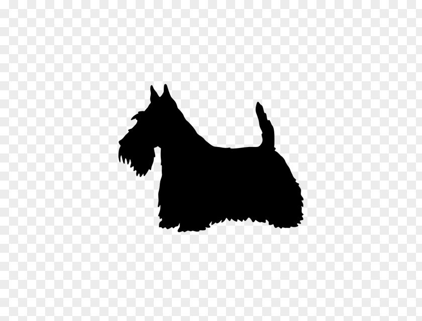 Scottish Terrier West Highland White Border Staffordshire Bull Scotland PNG