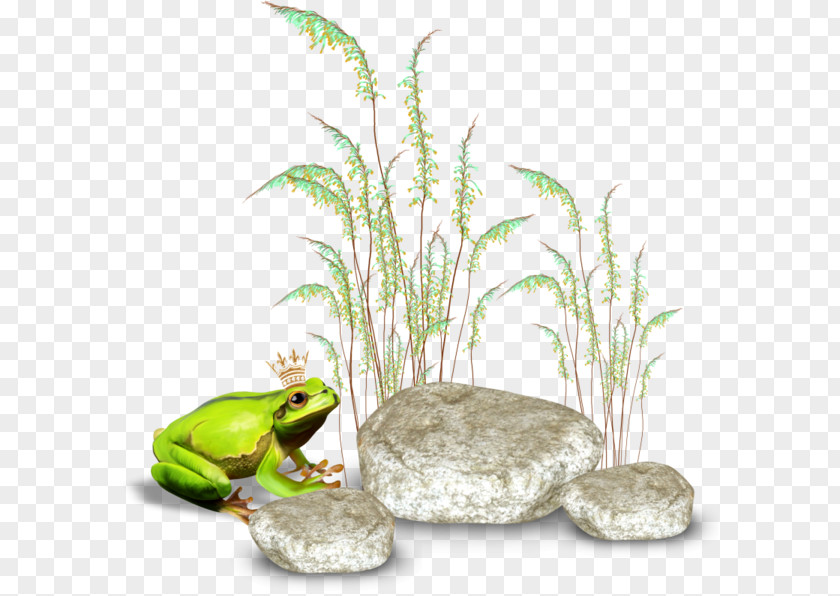 Stone Frog Clip Art PNG
