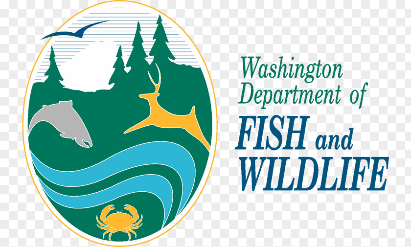 Washington Department Of Fish & Wildlife United States And Service Hunting White-nose Syndrome PNG