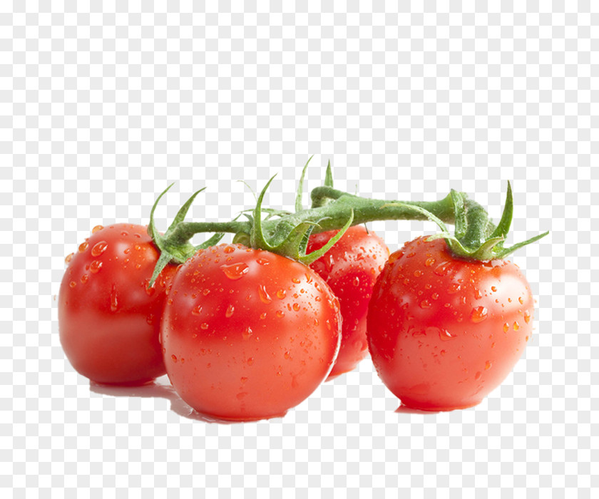 Yingying Tomato Water Cherry Lycopene Paste Extract Fruit PNG