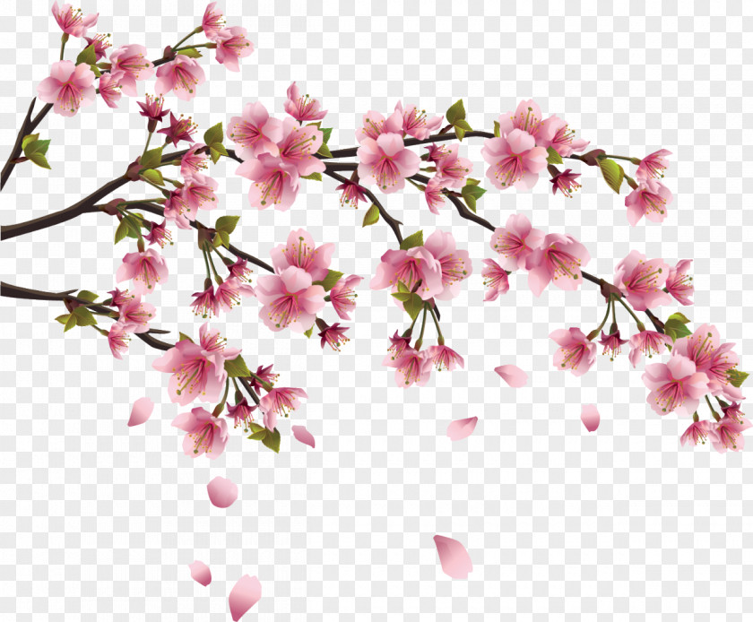 Column Cherry Blossom Paper Wall Decal Branch PNG