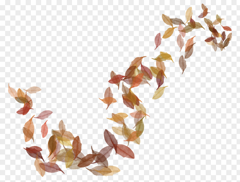Fall Backgrounds Autumn Leaves Clip Art Image Leaf PNG