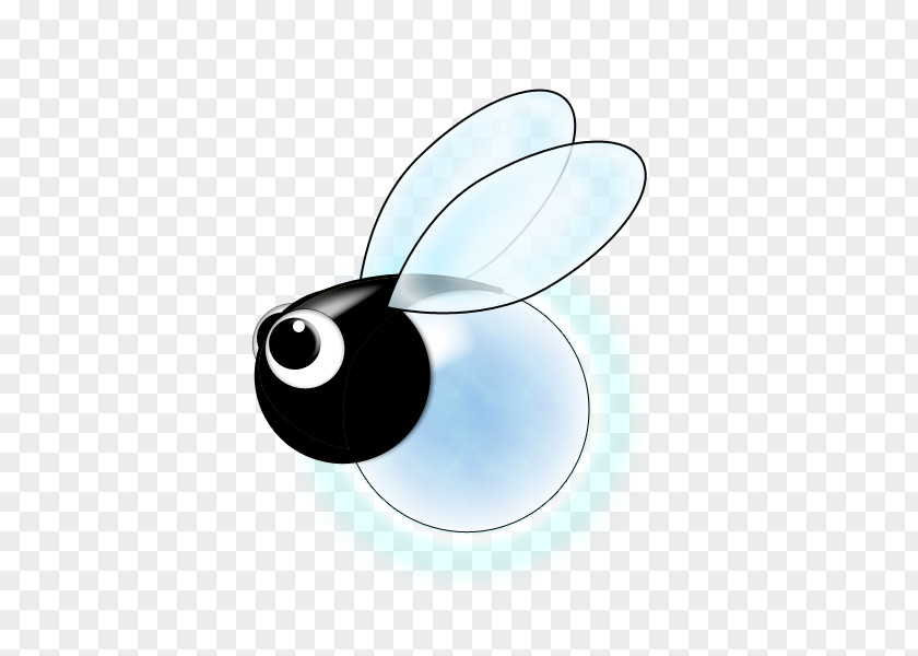 Firefly Clipart Insect Wallpaper PNG