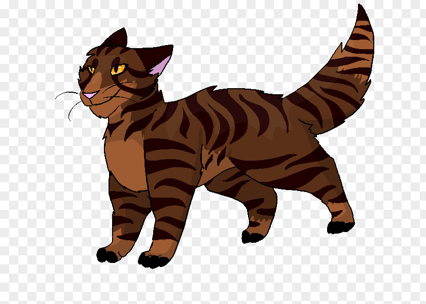 Kitten Toyger Manx Cat Whiskers Tabby Domestic Short-haired PNG