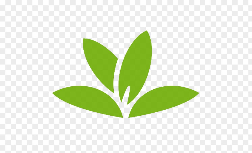 Android Plant Identification Google Play PNG