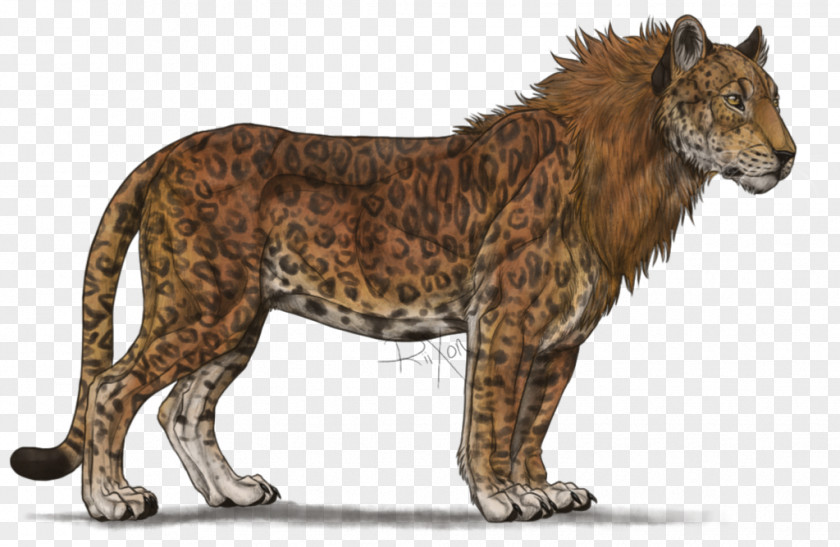Blackish Liger Leopard Lion Tiger Cheetah PNG