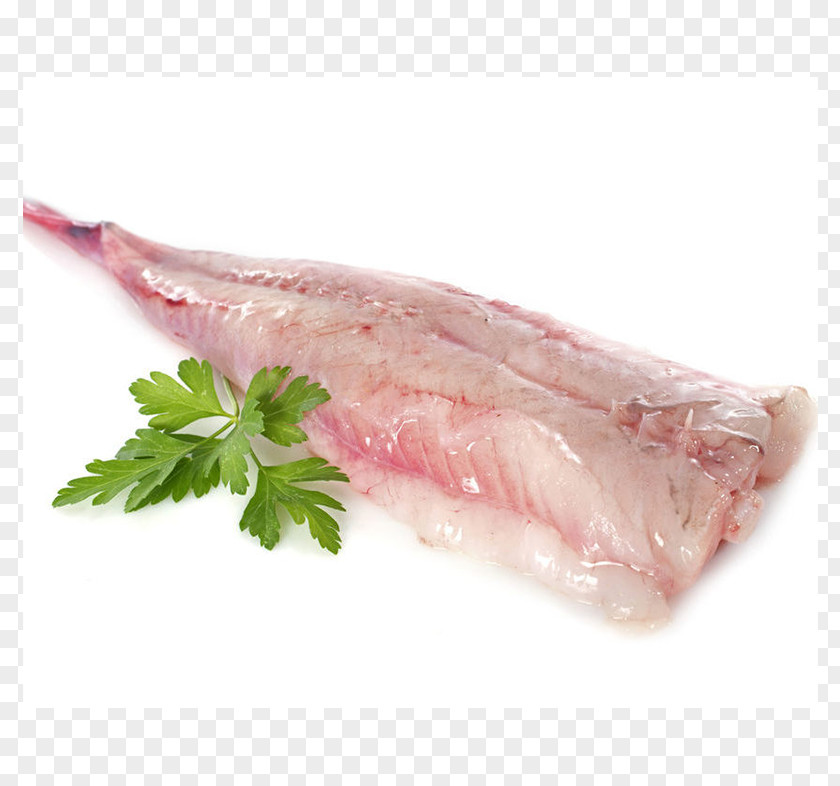 Fish Angler Stock Photography Seafood Fillet PNG