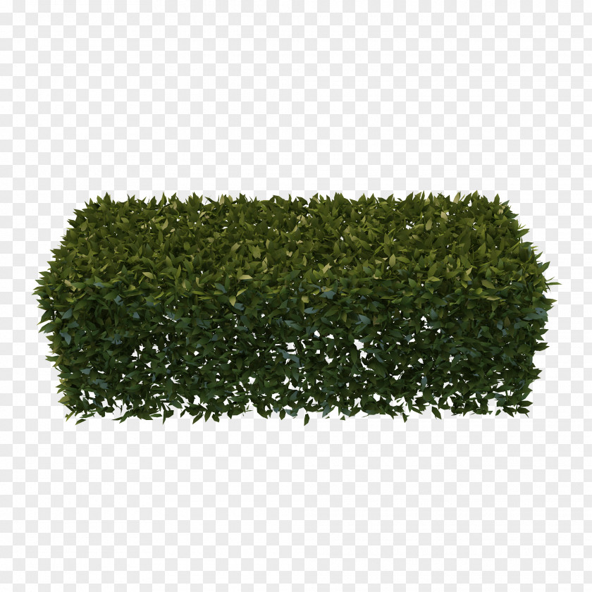 Hedges Free Download Hedge Garden Shrub Pruning PNG