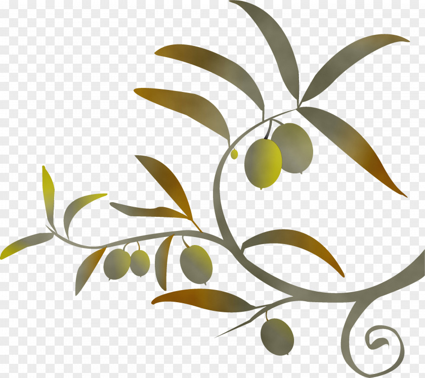 Leaf Plant Tree Olive Branch PNG