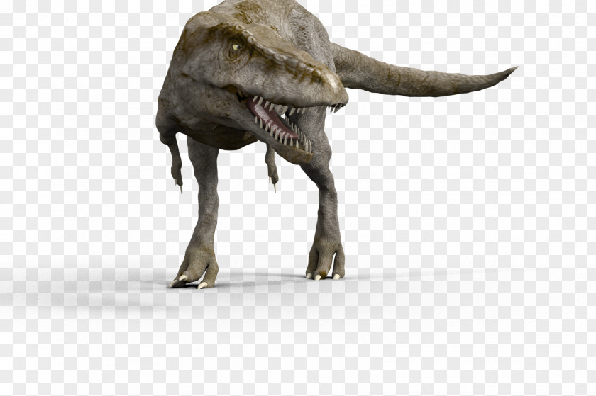 Tyrannosaurus Rex Dinosaur Magnification 3D Computer Graphics PNG