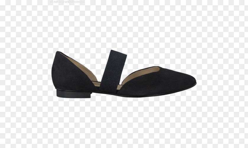 Ballet Flat Shoe Flip-flops Areto-zapata PNG