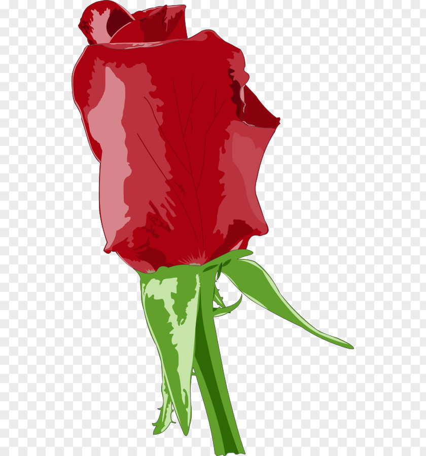 Free Rose Clipart Cdr Clip Art PNG