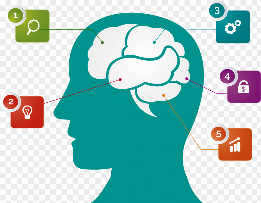 Creative Brain Of Icon Infographic Illustration PNG