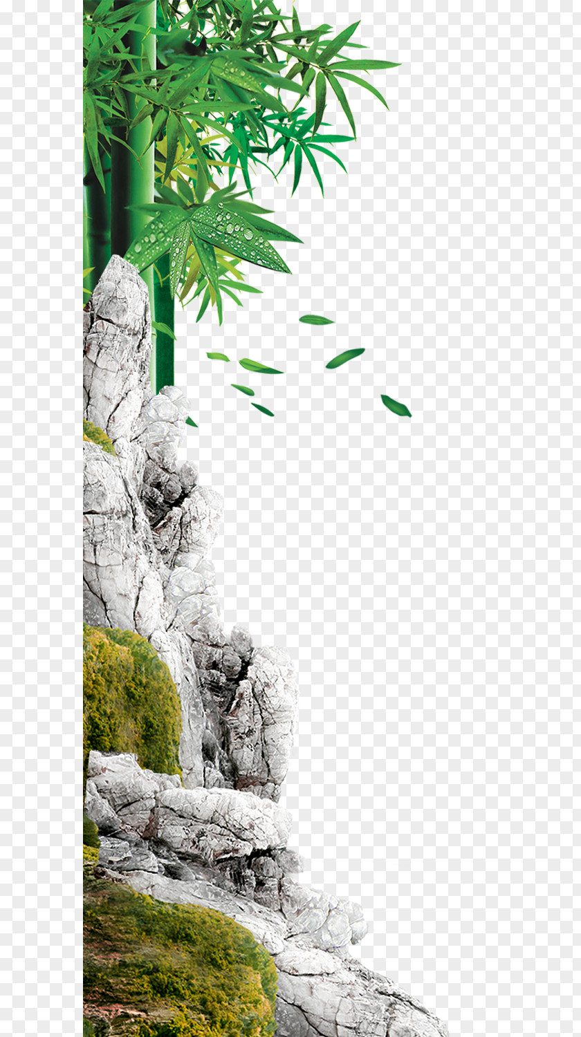 Green Bamboo Poster Template PNG
