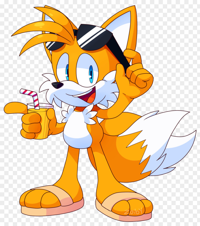 Sonic Tails Battle Drawing Fox PNG
