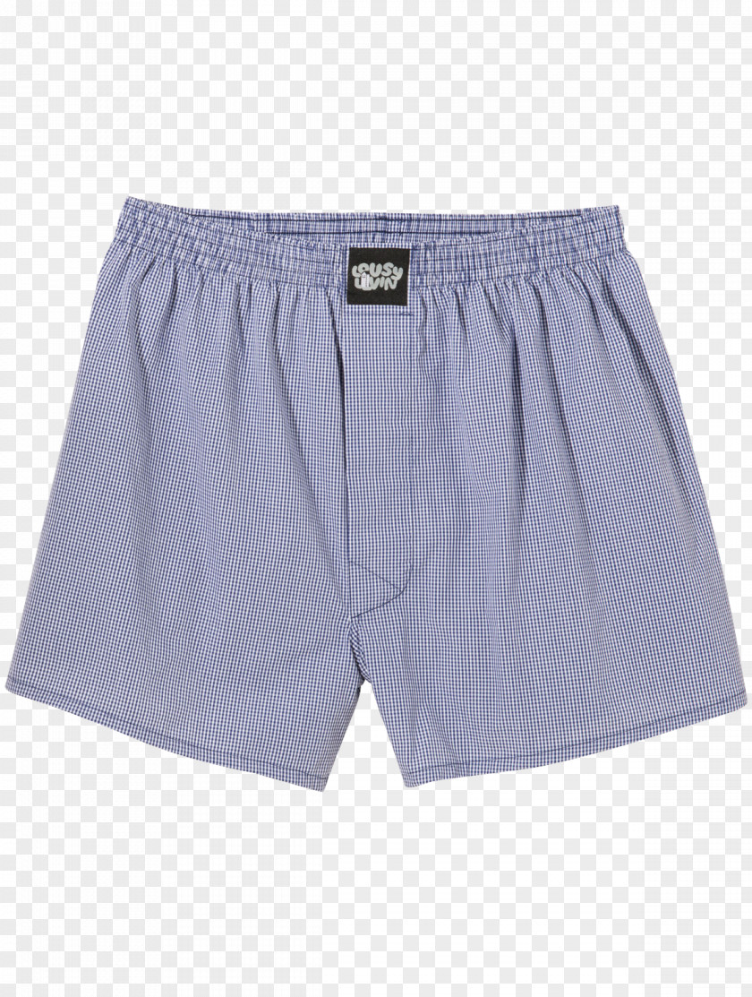 Beetrot Trunks Underpants Bermuda Shorts Briefs Waist PNG