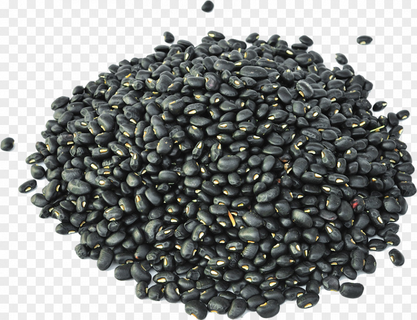 Black Beans Turtle Bean Minestrone Sprouting PNG