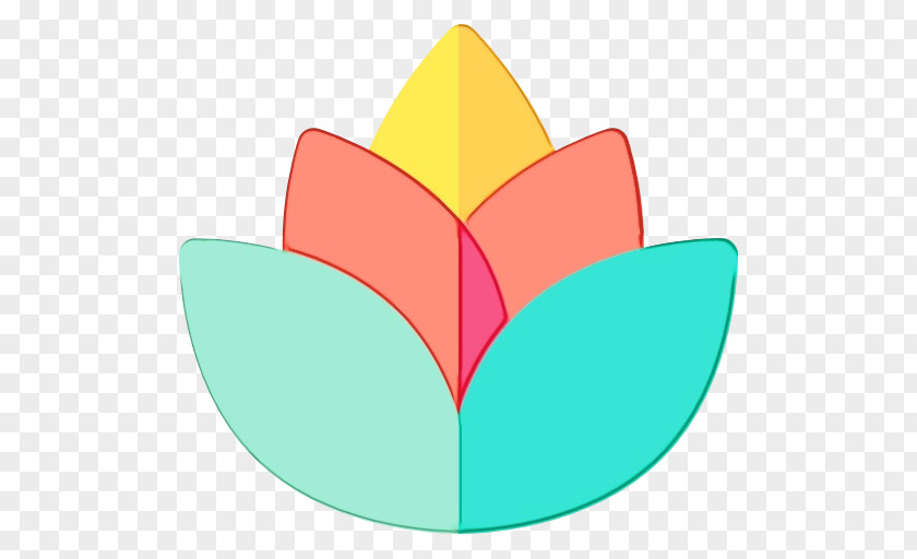 Lotus Family Plant Clip Art Leaf Petal PNG