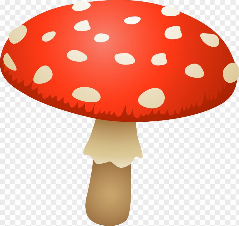 Mushroom Oyster Fungus Edible Amanita Muscaria PNG