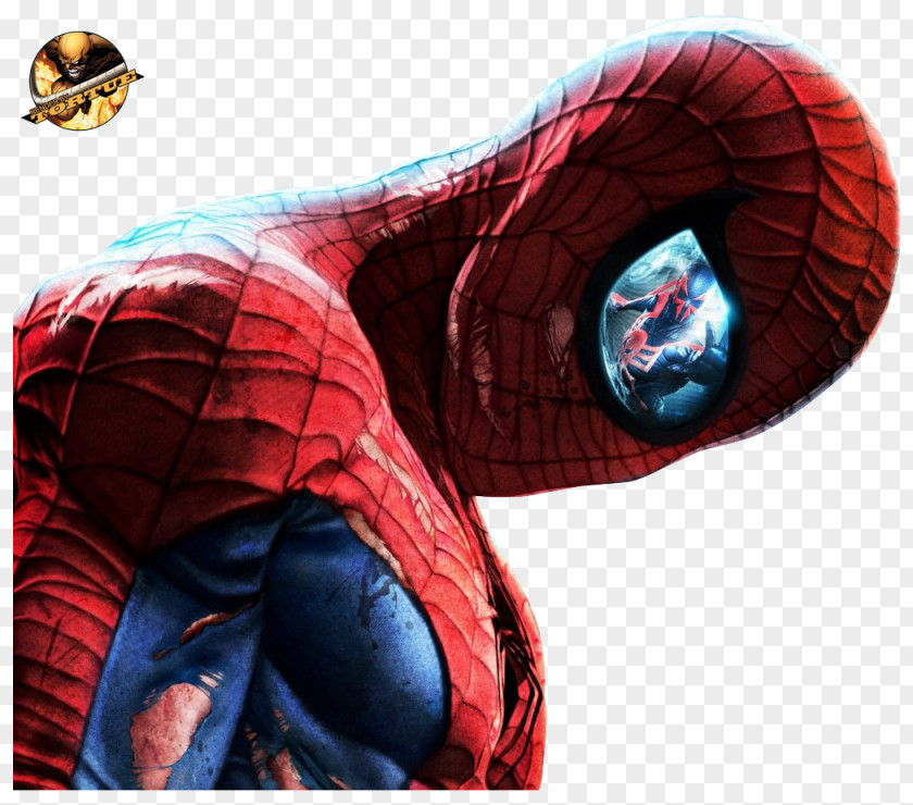 Spider-man Spider-Man: Edge Of Time Shattered Dimensions The Amazing Spider-Man 2 PNG