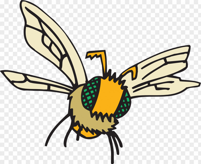 Bee Insect Hornet Eye Clip Art PNG
