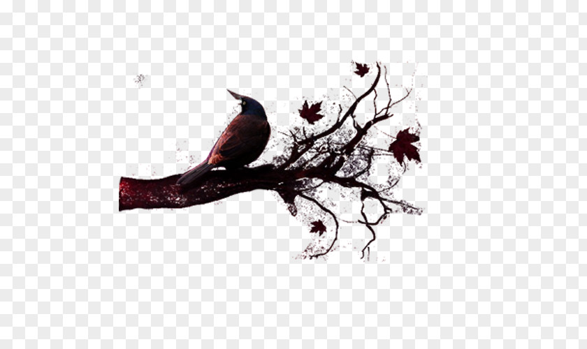 Crow Tree Wallpaper PNG