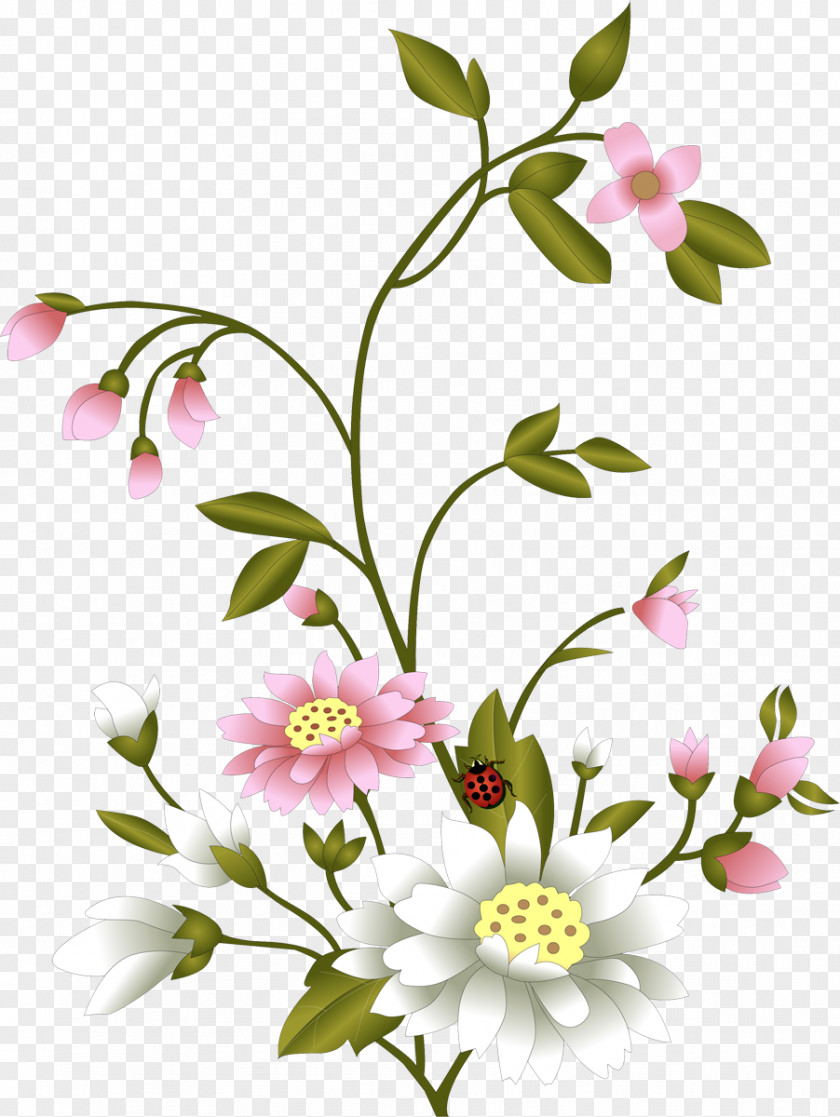 Flower Cut Flowers Floral Design Image PNG