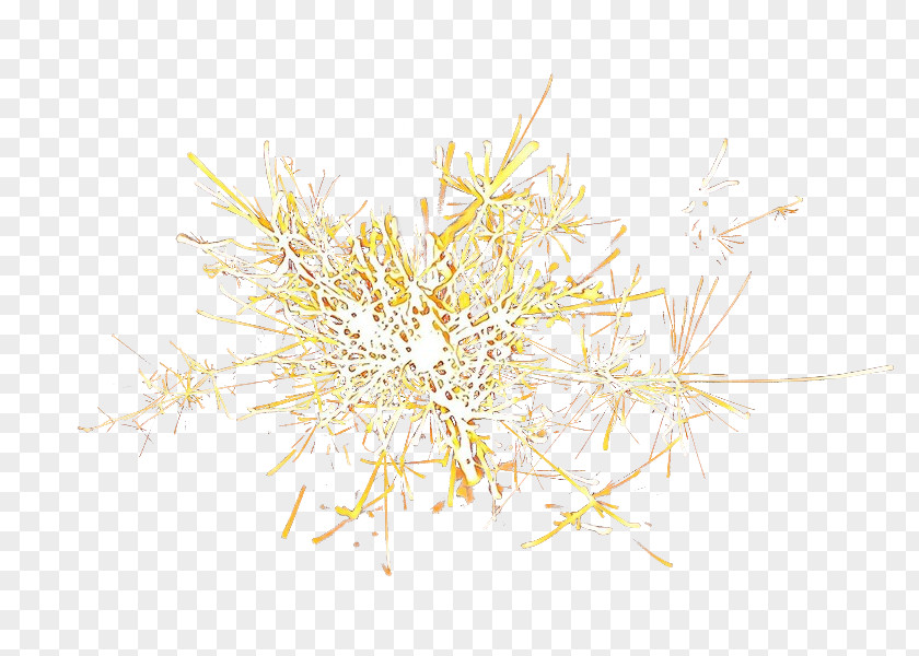Flower Twig Yellow Plant Branch PNG