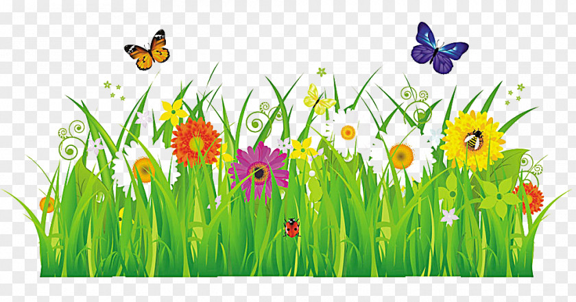 Grass Flowers Insect Flower Stock Photography Royalty-free Clip Art PNG