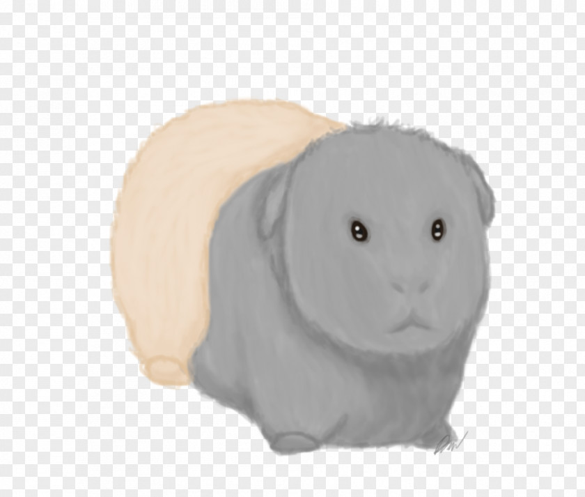 Guinea Pig Domestic Rabbit Hare Whiskers Snout PNG