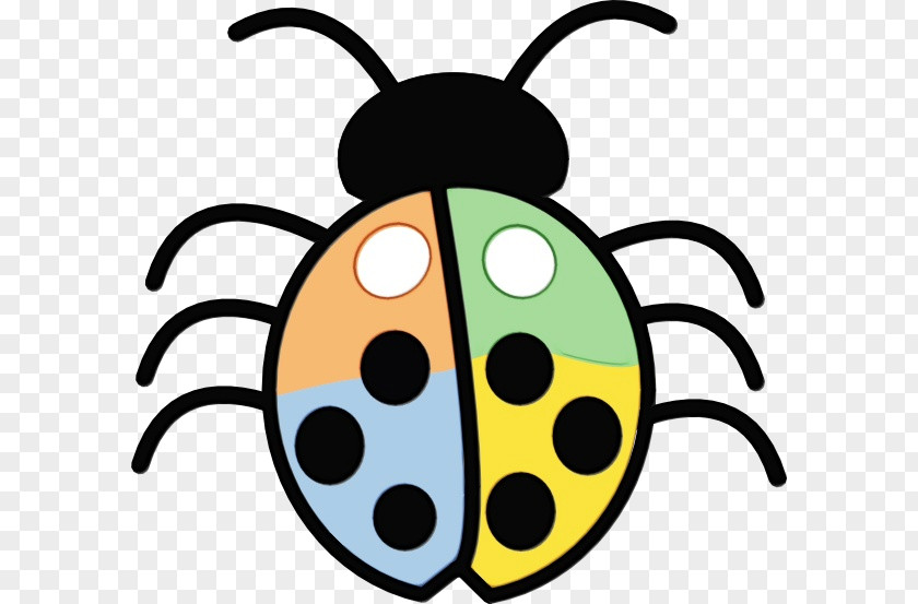 Ladybug Beetle PNG