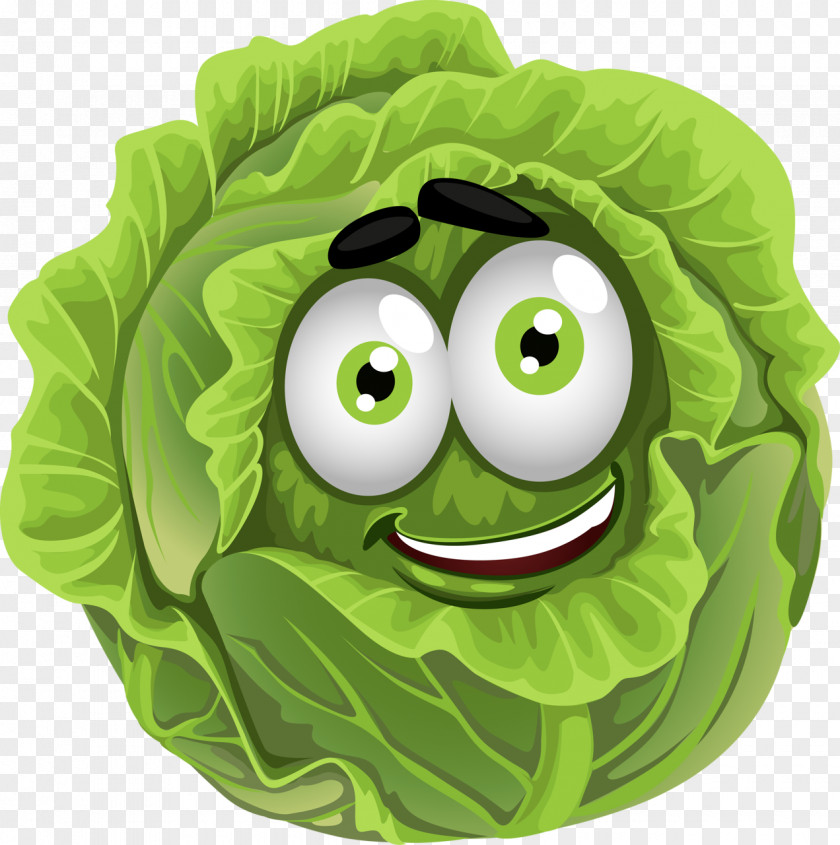 Cabbage Chinese T-shirt Vegetable Clip Art PNG