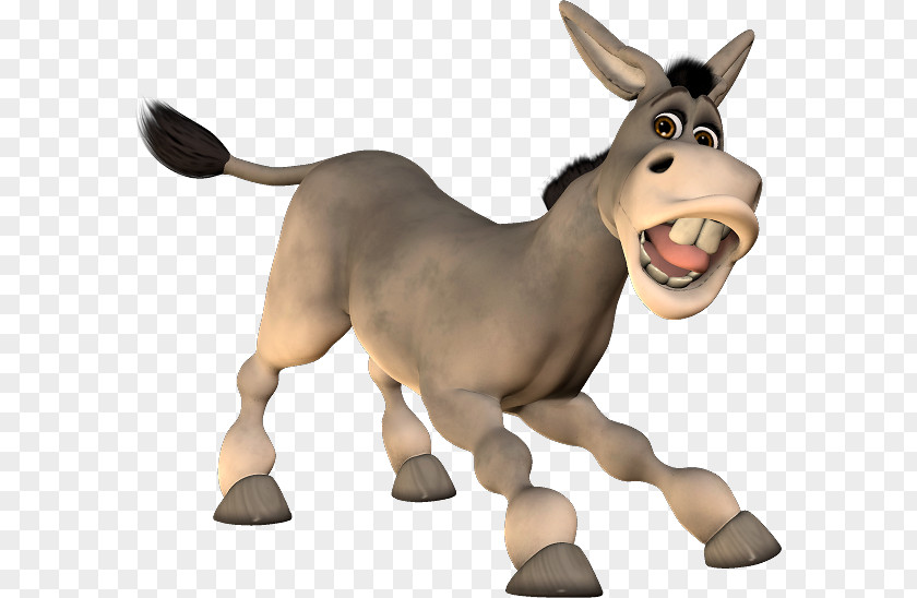 Donkey Mule Mustang Pony Âne Blanc D'Égypte PNG