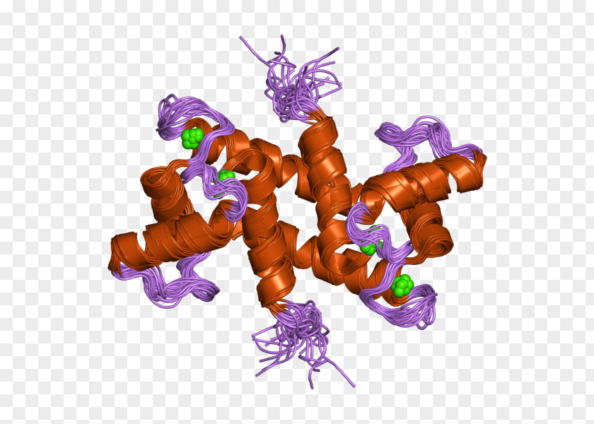 Ebi S100B S100 Protein S100A1 Amino Acid PNG
