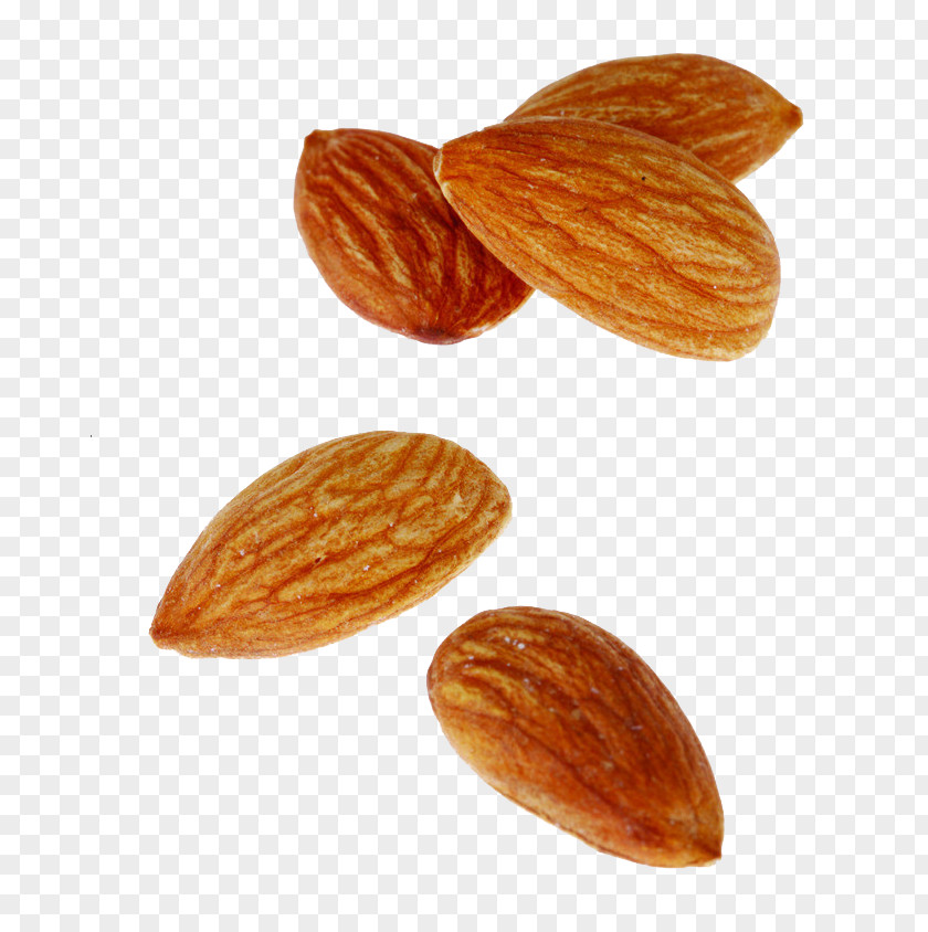 Floating Almonds Nut Almond Apricot Kernel Oil PNG