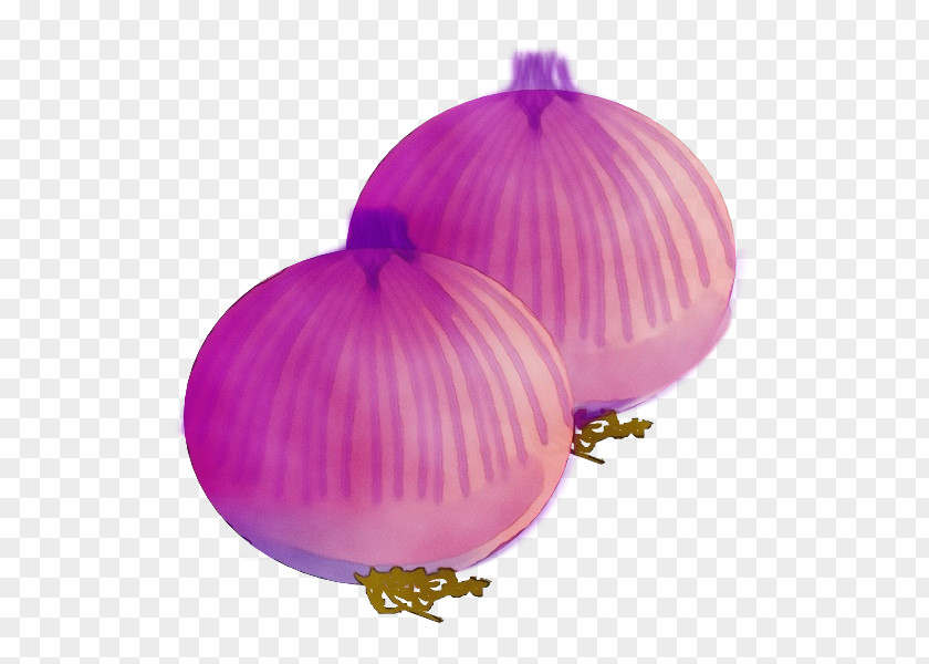 Food Vegetable Onion Purple Violet Pink Red PNG