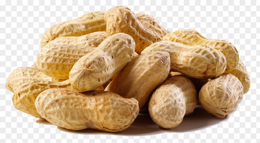 Georgia Peanut Allergy Alabama PNG