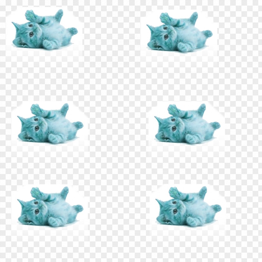 Lab Test Kitten Turquoise Laptop Cuteness Organism PNG