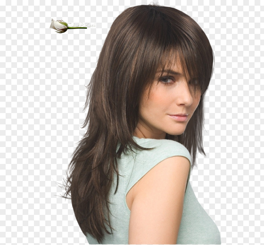 Hair Hairstyle Bangs Layered Long PNG