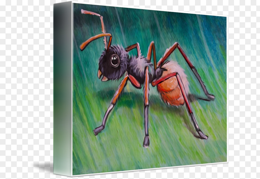 Painting Insect Modern Art K2 PNG