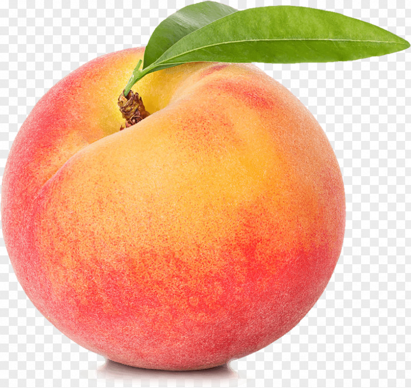 Peach Fruit Food Apricot Orange PNG