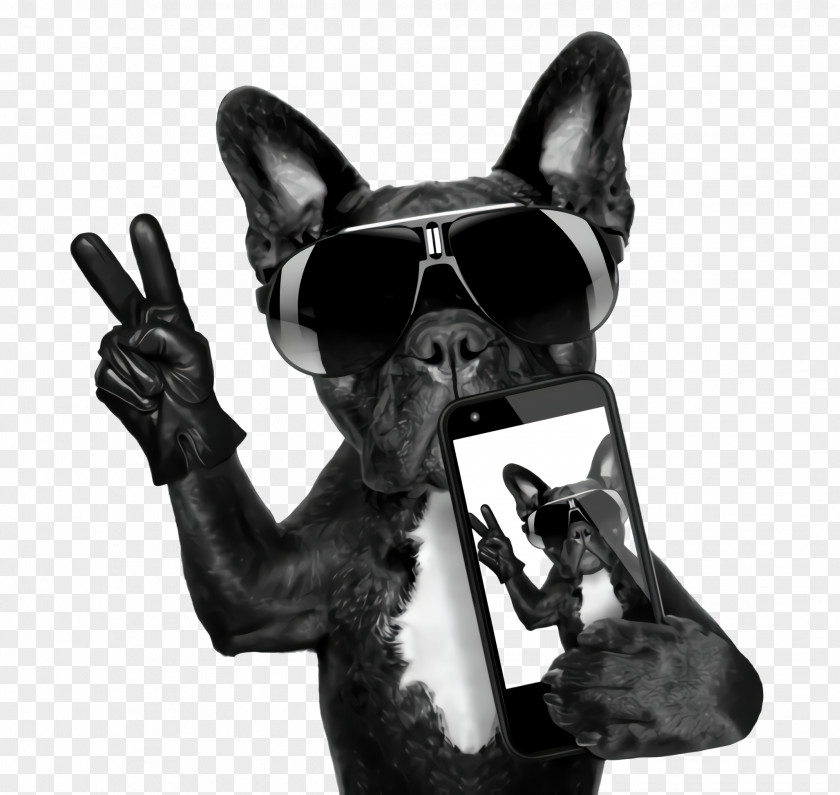 Gesture Hand French Bulldog PNG