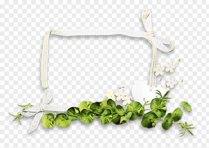 Plant Flower PNG