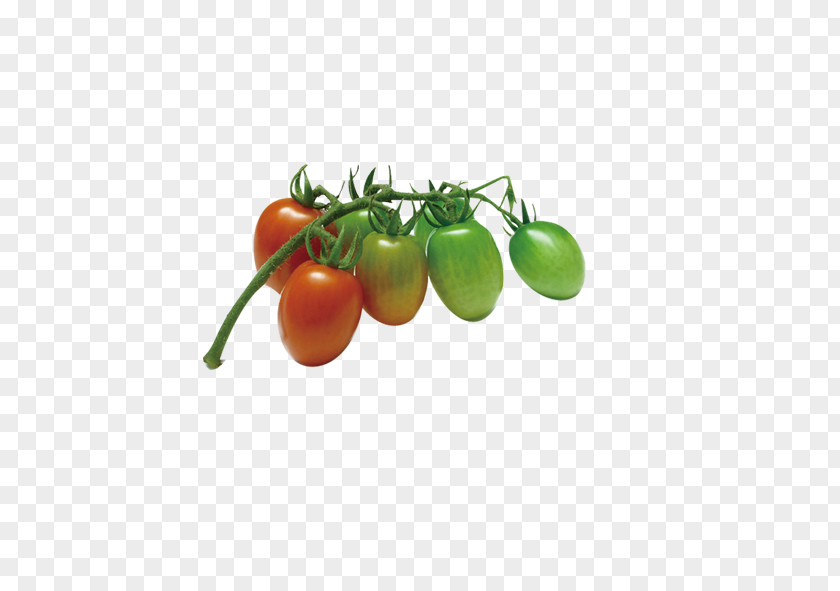 Cherry Tomatoes Tomato Vegetable Fruit Food Onion PNG