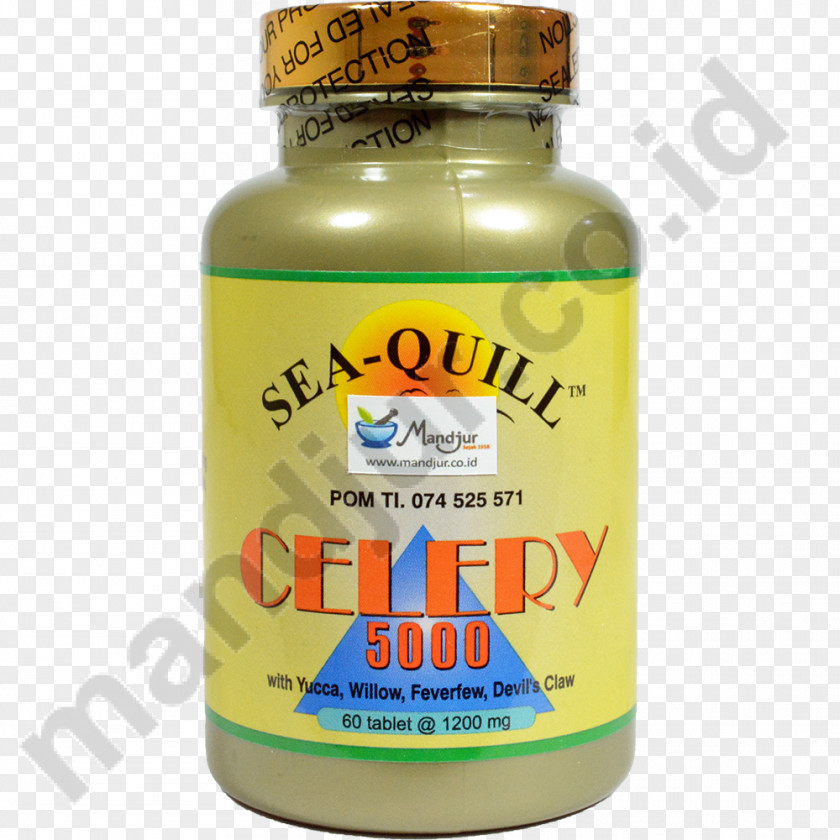 Health Omega-3 Fatty Acids Fish Oil Salmon Softgel Lachsöl PNG