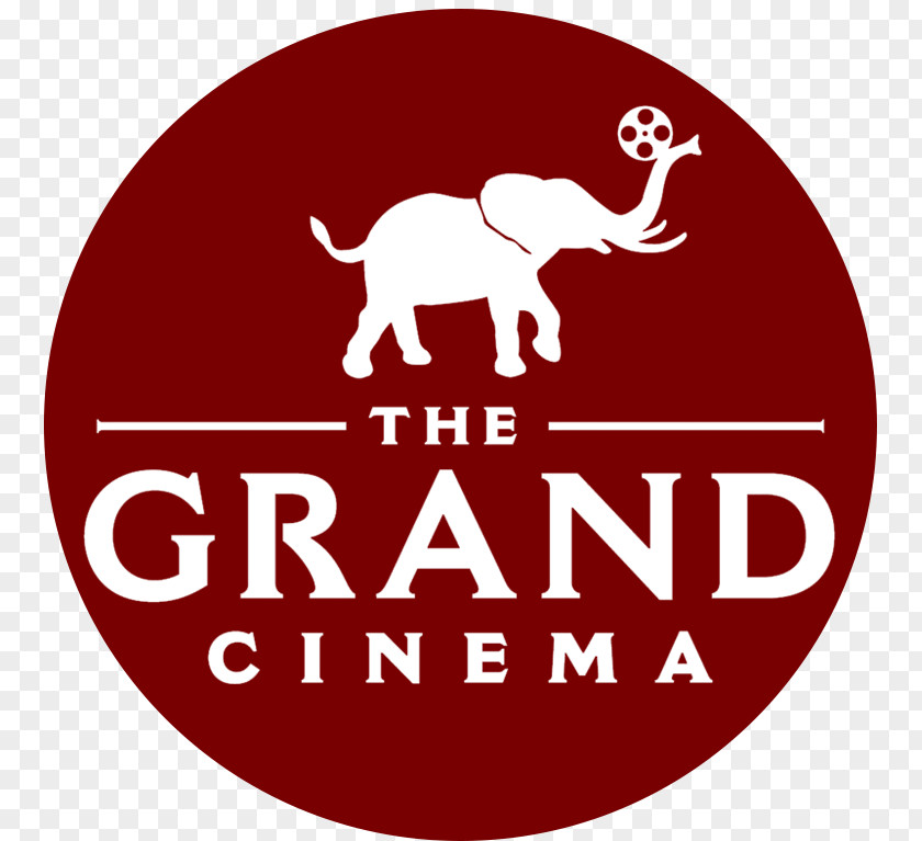 Tacoma Film Festival Art FilmQingdao Grand Theatre Cinema PNG