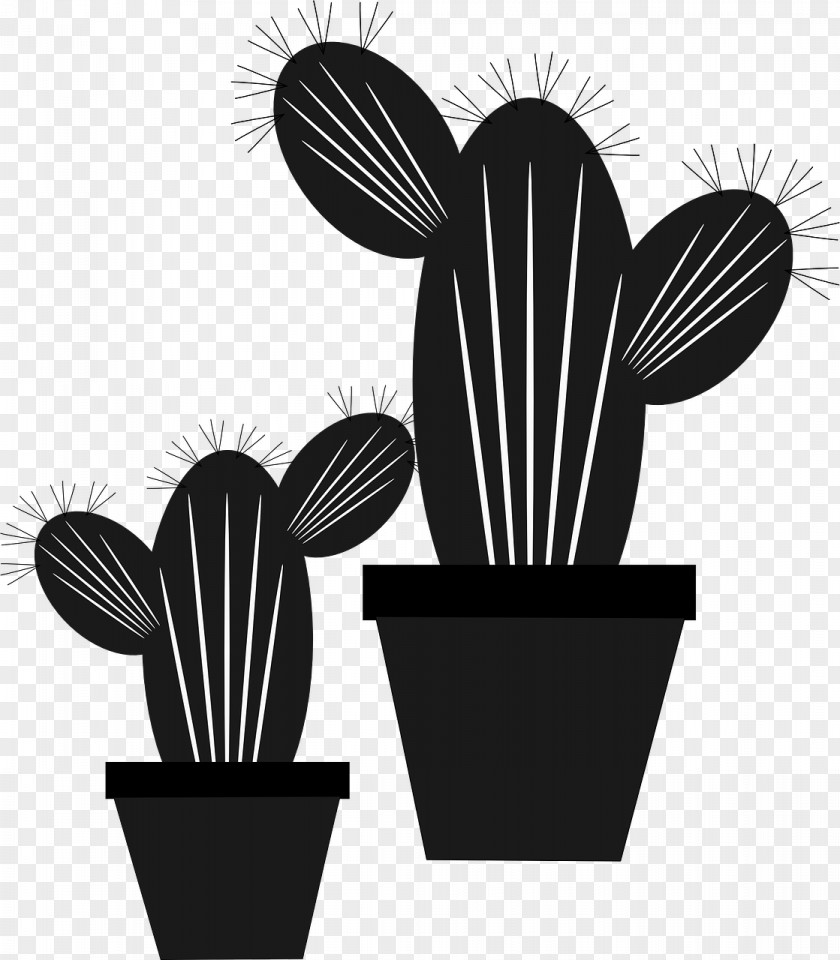 Cactus Cactus/ Clip Art PNG