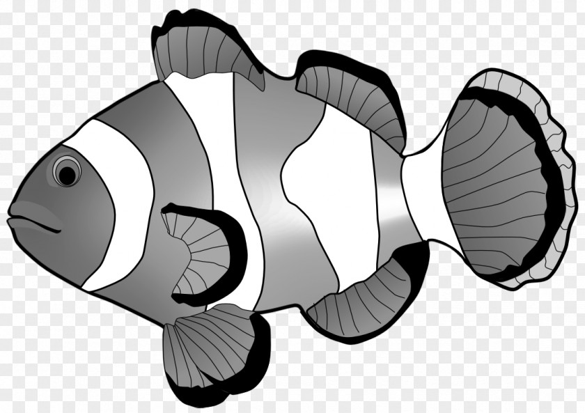 Fish Clip Art PNG