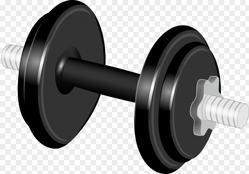 Hantel Dumbbell Physical Exercise Weight Training Clip Art PNG