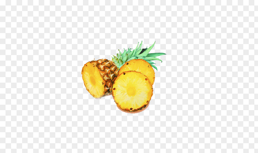Simple Small Fresh Pineapple Yellow Gratis Computer File PNG